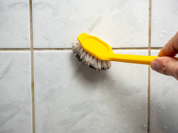 Best Residential Mold Removal  in Mary Esther, FL