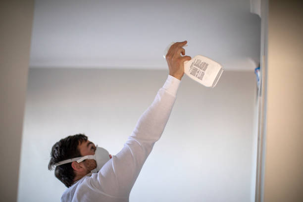 Best Mold Damage Repair  in Mary Esther, FL